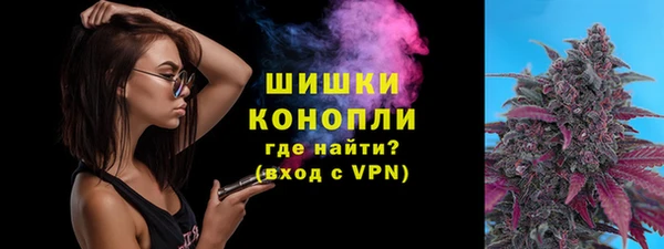 ПСИЛОЦИБИНОВЫЕ ГРИБЫ Горнозаводск