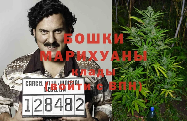 ПСИЛОЦИБИНОВЫЕ ГРИБЫ Горнозаводск