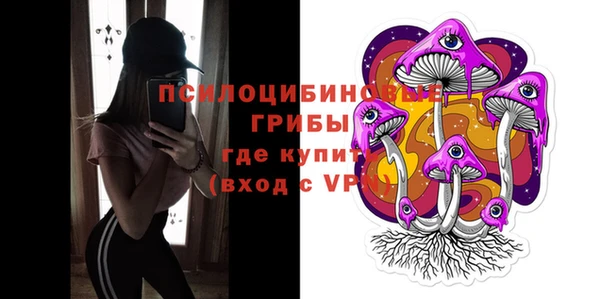ПСИЛОЦИБИНОВЫЕ ГРИБЫ Горнозаводск